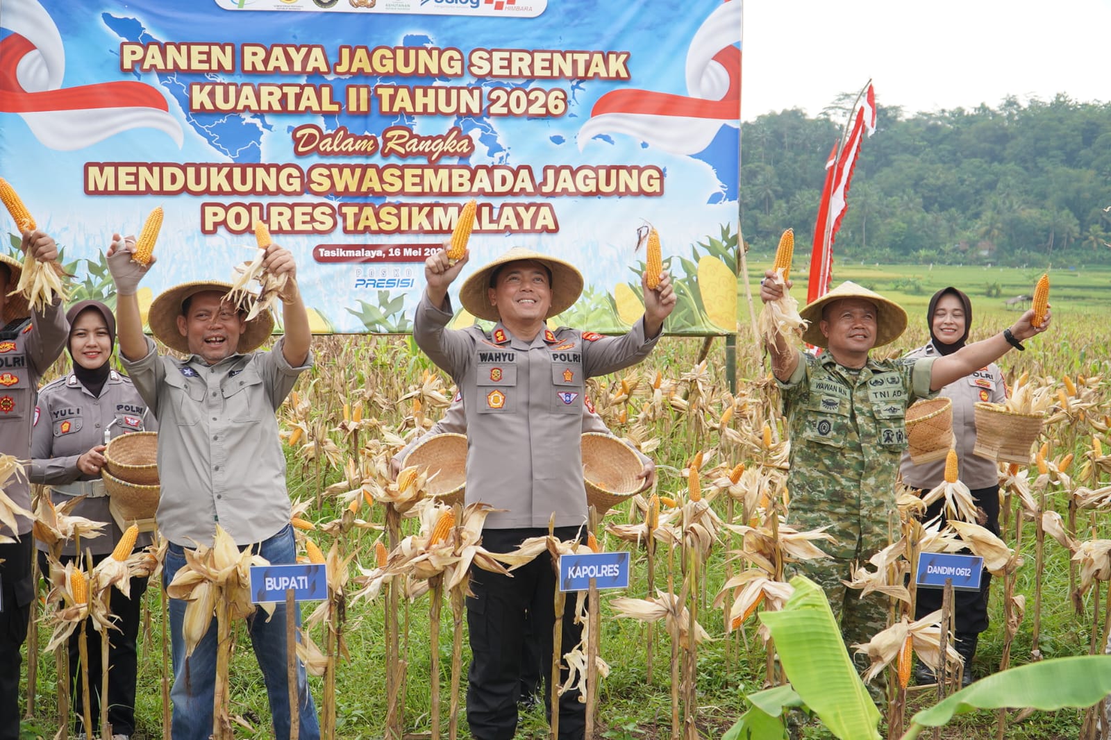 Panen Raya 171 Ton Jagung, Sinergi TNI-Polri dan Pemkab Tasikmalaya Perkuat Ketahanan Pangan