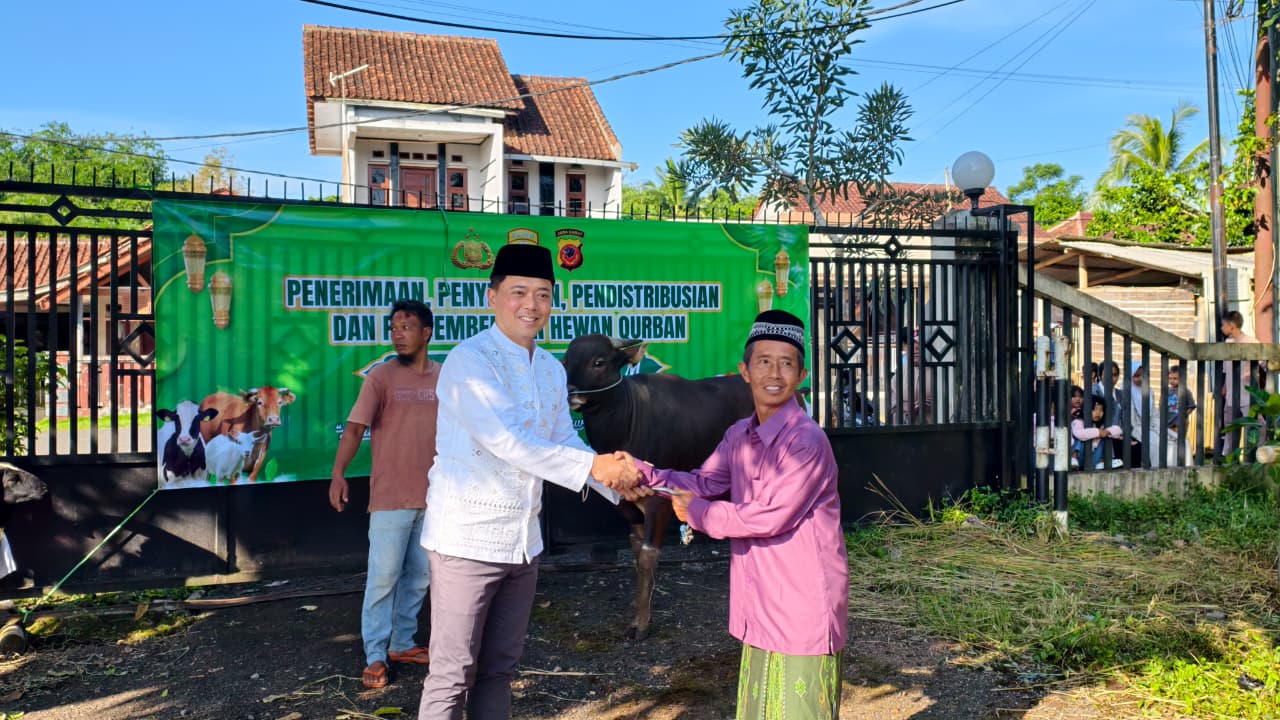 Wujud Kepedulian di Hari Raya Idul Adha Polres Tasikmalaya Diistribusikan Puluhan Ekor Hewan Kurban