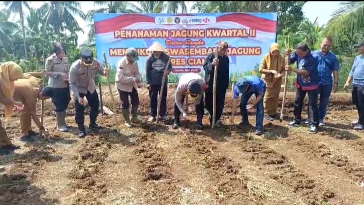 Peran Aktif Polres Ciamis Dukung Swasembada Pangan, Penanaman Jagung Serentak Di Maleber