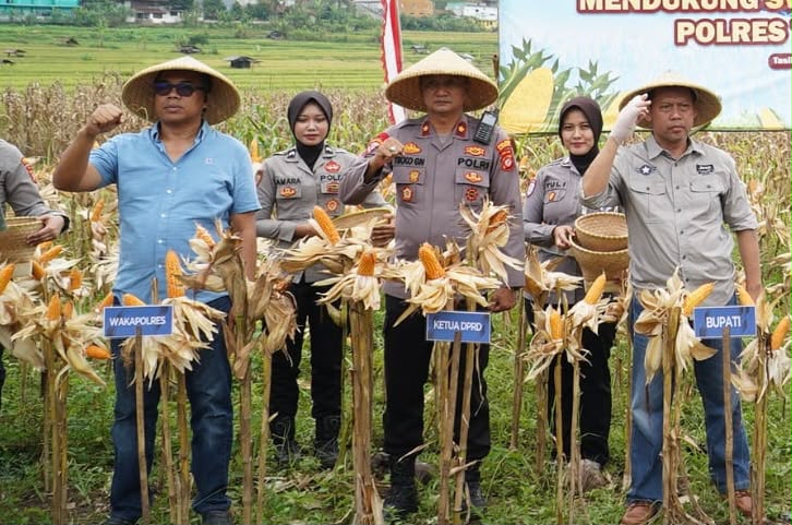 Satreskrim Polres Tasikmalaya Turun ke Lahan, Perkuat Ketahanan Pangan Lewat Monitoring Perkebunan Jagung