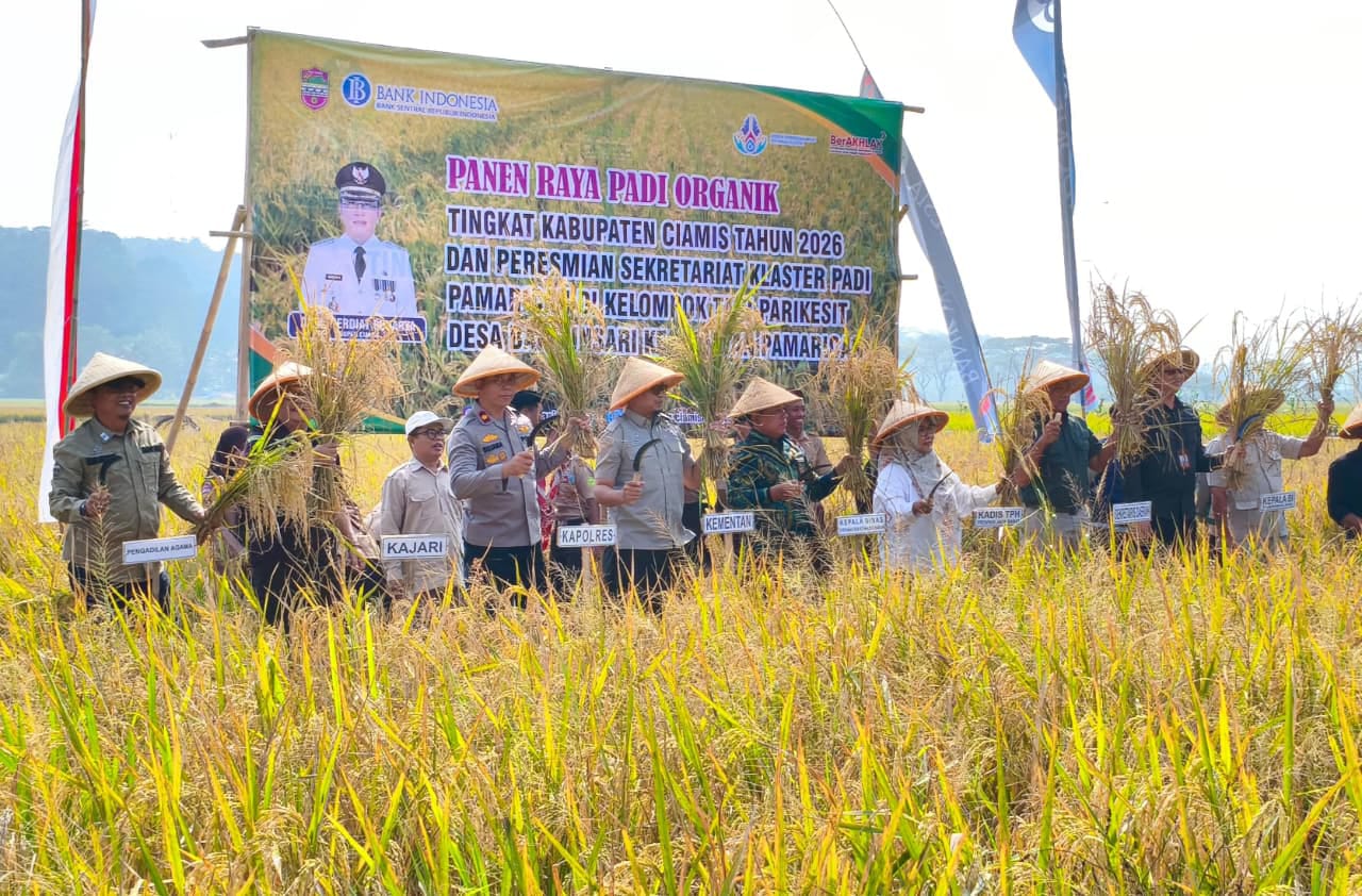Polres Ciamis Perkuat Sinergi Dukung Ketahanan Pangan Melalui Panen Padi Organik dan Peresmian Klaster Pertanian