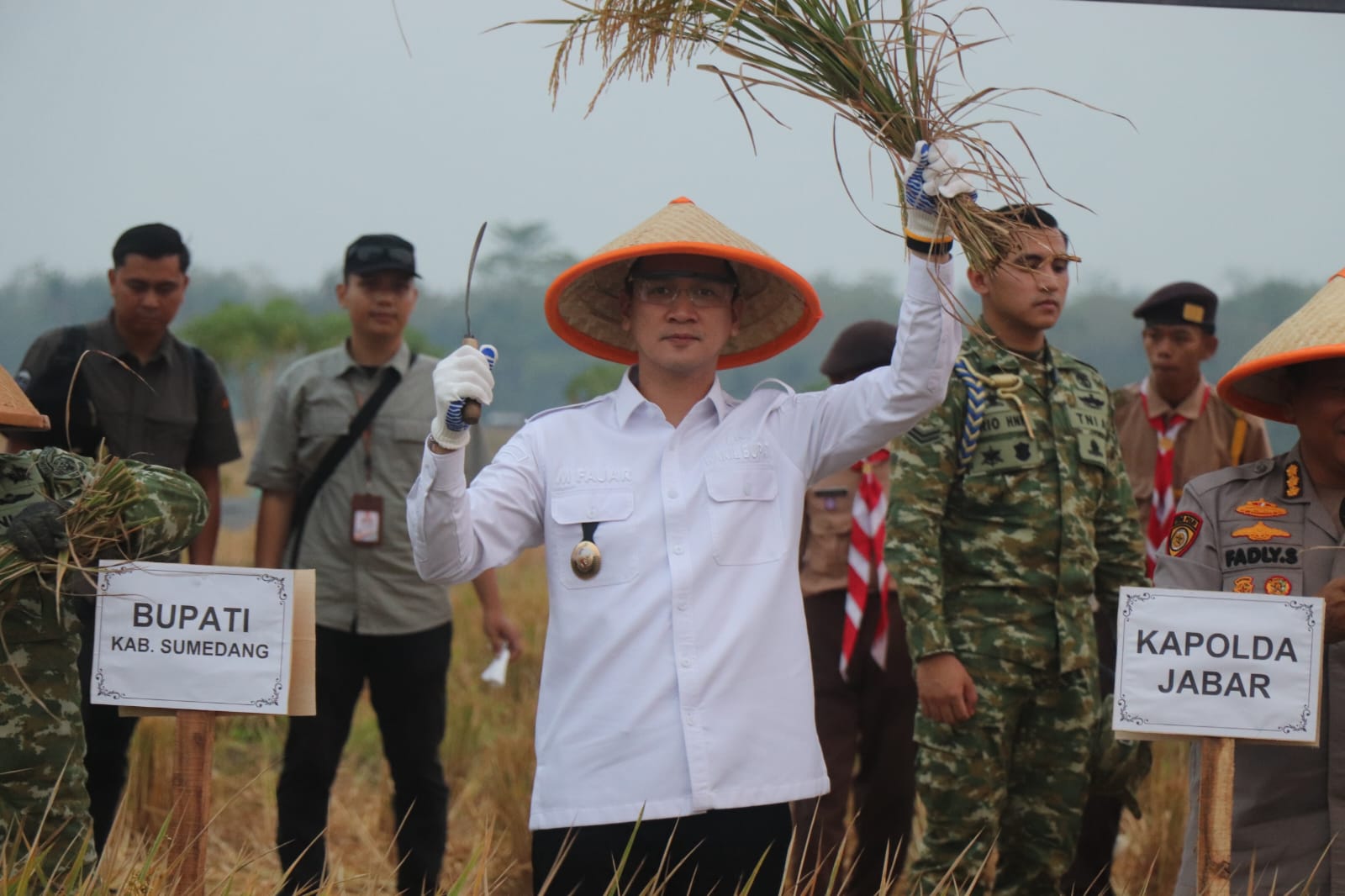 Panen Raya TNI di Ujungjaya, Sumedang Perkuat Ketahanan Pangan Nasional dan Dorong Swasembada Pangan