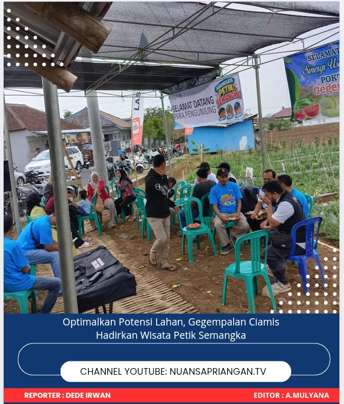 Optimalkan Potensi Lahan, Gegempalan Ciamis Hadirkan Wisata Petik Semangka